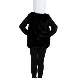 DEGUISEMENT-ENFANT-PANDA-DOS