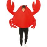 DEGUISEMENT-HUMORISTIQUE-CRABE