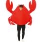 DEGUISEMENT-HUMORISTIQUE-CRABE