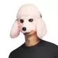ACCESSOIRESDEFETES-ACCESSOIRESANIMAUX-DEMIMASQUE-ADULTE-CANICHE ROSE
