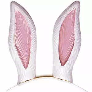 ACCESSOIRESDEFETES-ACCESSOIRESANIMAUX-OREILLES-LAPIN