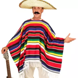 ACCESSOIRESDEFETES-ACCESSOIRESDUMONDE-ADULTE-PONCHO