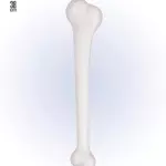 ACCESSOIRESDEFETES-ACCESSOIRESDUMONDE-OS-38CM