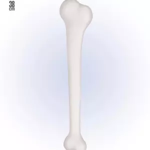 ACCESSOIRESDEFETES-ACCESSOIRESDUMONDE-OS-38CM