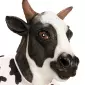 ACCESSOIRESDEFETES-MASQUES-ADULTE-VACHE