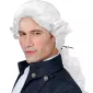 ACCESSOIRESDEFETES-PERRUQUES-ADULTE-DUC-DONATIEN-BLANCHE