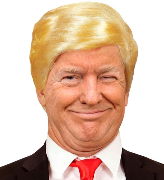 ACCESSOIRESDEFETES-PERRUQUES-ADULTE-PRESIDENT-AMERICAIN