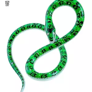 ANNIVERSAIRE-ADULTE-TROPICAL-SERPENT-GONFLABL