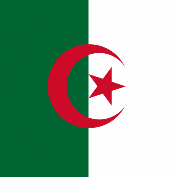 ACCESSOIRESDEFETES-DRAPEAUX-ALGERIE