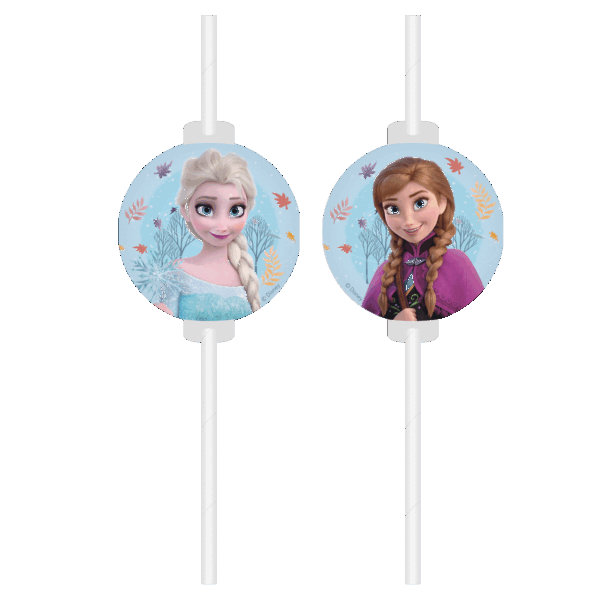 ANNIVERSAIREENFANT-FROZEN-PAILLES-CARTON