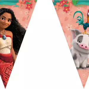 ANNIVERSAIREENFANT-VAIANA-GUIRLANDE-FANION-CARTON