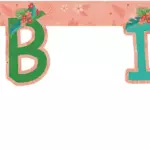 ANNIVERSAIREENFANT-VAIANA-GUIRLANDE-HB-CARTON