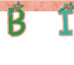 ANNIVERSAIREENFANT-VAIANA-GUIRLANDE-HB-CARTON