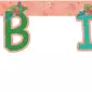 ANNIVERSAIREENFANT-VAIANA-GUIRLANDE-HB-CARTON