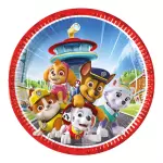 ANNIVERSAIREENFANT-PATPATROUILLE-ASSIETTES-CARTON-23CM