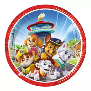 ANNIVERSAIREENFANT-PATPATROUILLE-ASSIETTES-CARTON-23CM